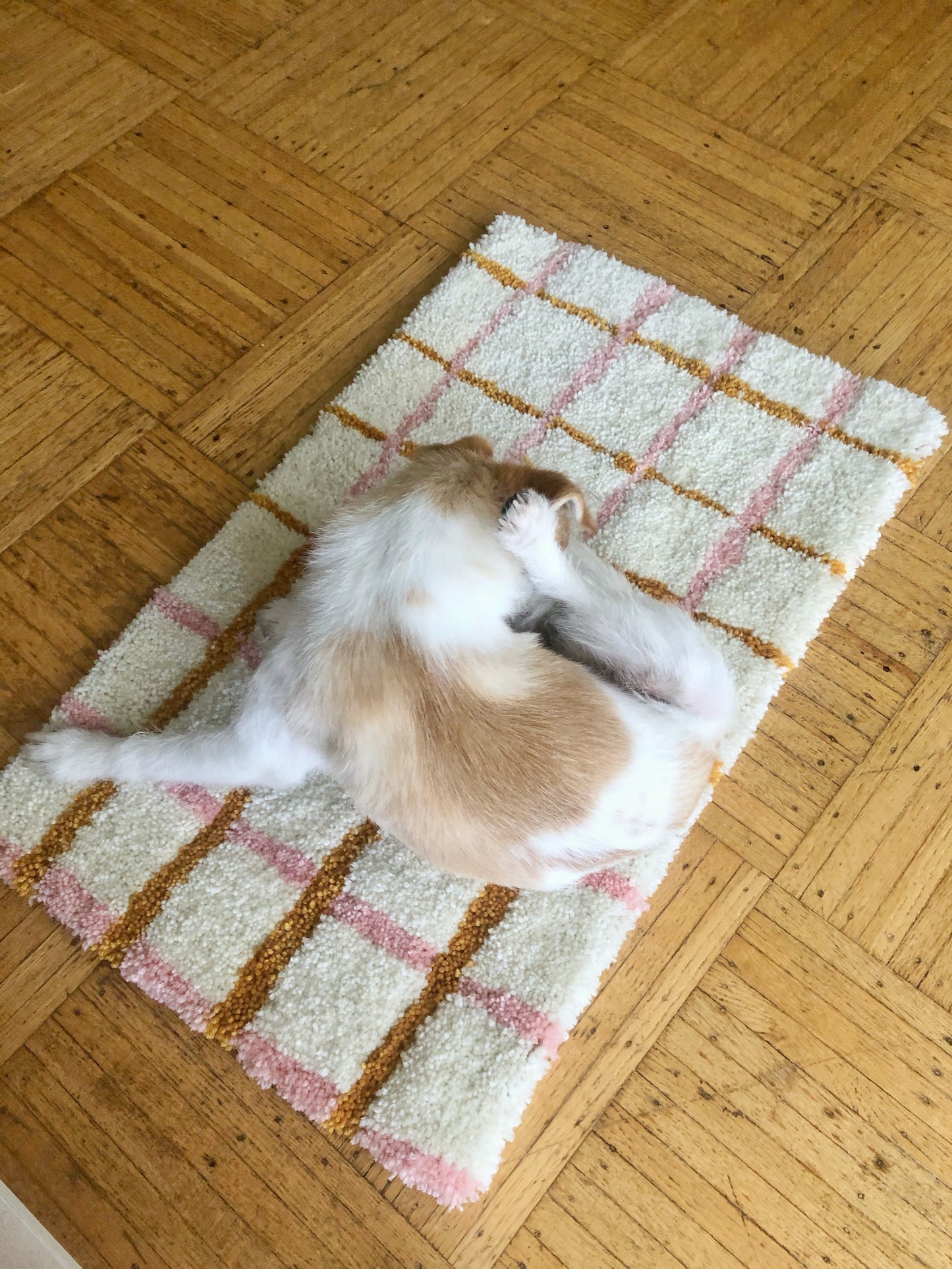 Plaid Accent Rug